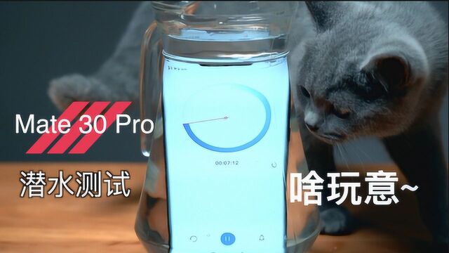 【麒麟990】Mate 30 Pro深度拆解(上)艾奥科技