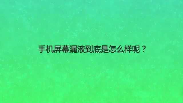 手机屏幕漏液到底是怎么样呢?