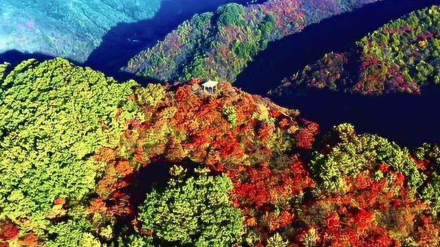 三门峡甘山红叶