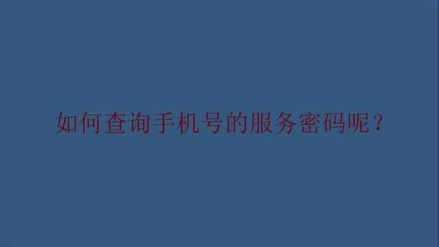 如何查询手机号的服务密码呢?