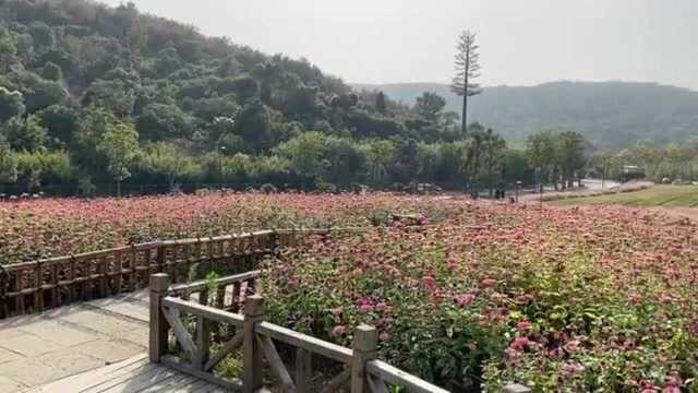 无锡灵山拈花湾小镇