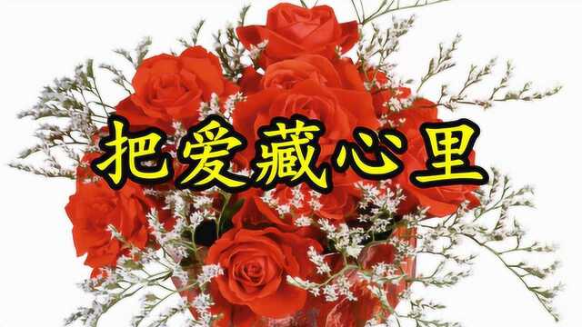 情歌MV:《把爱藏心里》把你放在心里祝你幸福永久