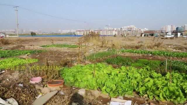 天津这里是霍元甲故居 拆迁七年仍有人居住!