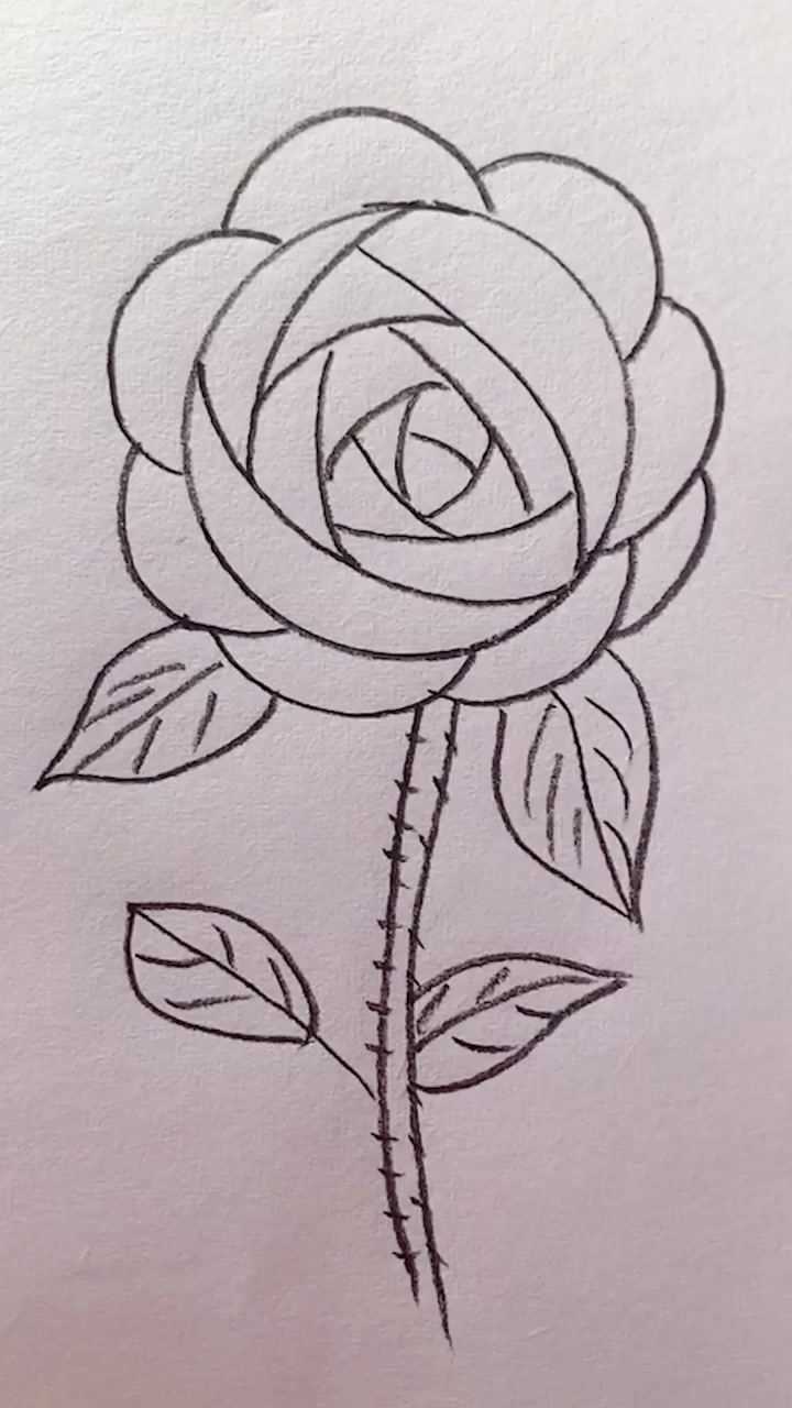 教你们画一朵盛开的玫瑰.