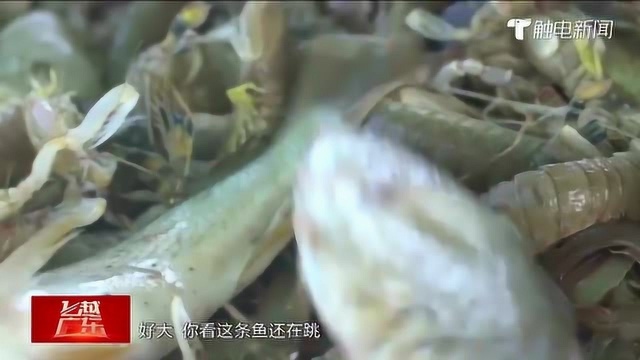 【飞越广东】汕尾寻食记:这里的海鲜为什么这么“甜”?