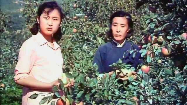 82年乡村电影《内当家》女社员李秀兰的故事