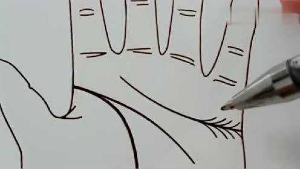 看手纹那些事感情线出现羽毛状纹路代表啥意思