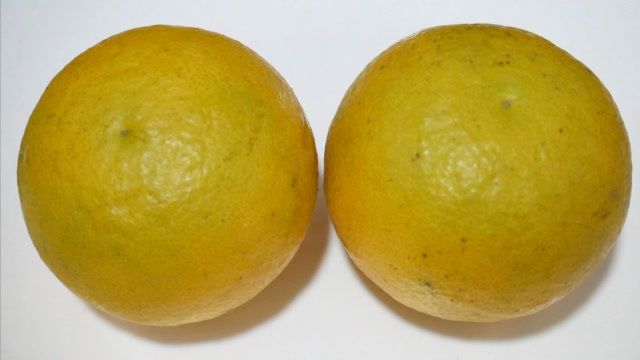 其貌不扬的臭皮柑放入冰糖蒸来吃可以解决很多人的烦恼哦