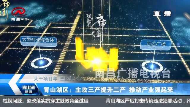 青山湖区:主攻三产提升二产 推动产业强起来