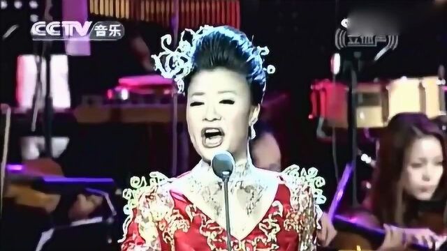 王丽达演唱《红土香》,深情满怀,扣人心弦