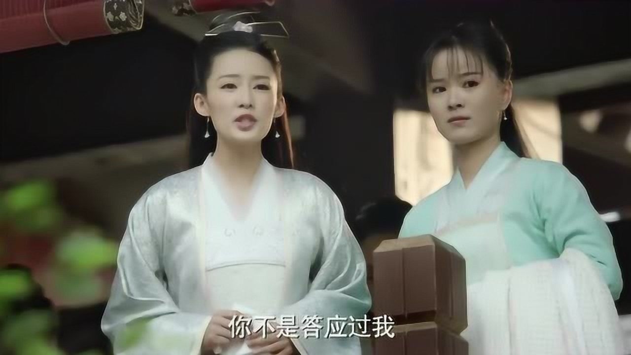 林婉儿身边的红衣女图片