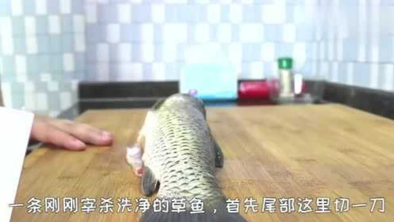 片鱼片教程视频,你知道该怎么做么,一起来看看吧_高清1080P在线观看平台_腾讯视频