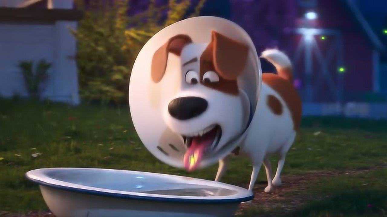 爱宠大机密2:麦克误喝了大狗的水盆