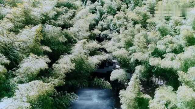 卧荻花月如霜: 浔阳江头夜送客,枫叶荻花秋瑟瑟. 主人下马客在船,举酒欲饮无管弦