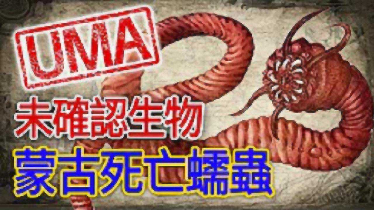 【uma档案】蒙古死亡蠕虫