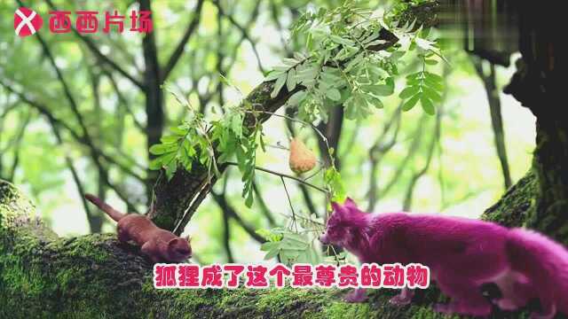 柜中美人大结局:翠凰帮花无欢复原身体,全姐姐走火入魔容貌尽毁