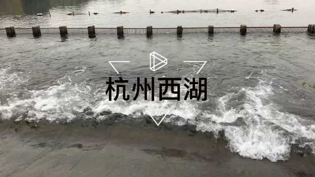 这里是杭州西湖