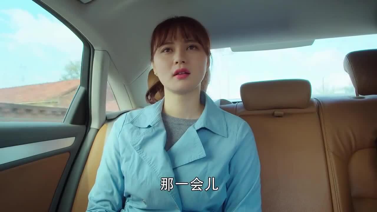 乡村爱情陈艳南回村了清明给她介绍了下村里的情况