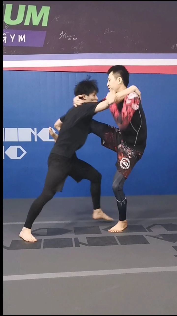 被抓腿飞身十字固