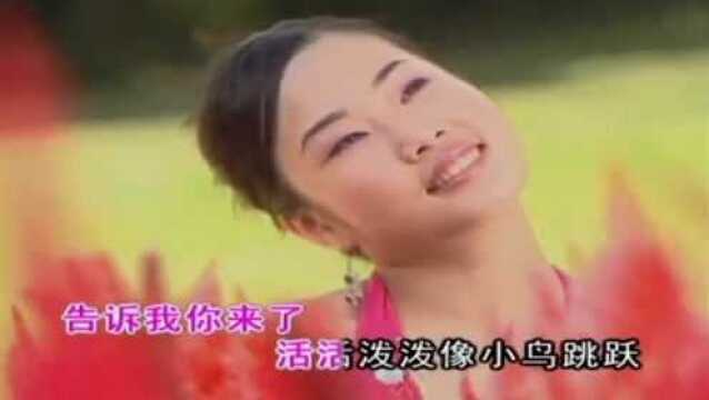 四千金贺岁歌曲《春来了》