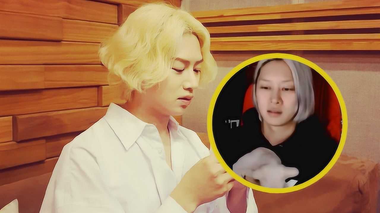 金希澈在直播中承认收养的猫是雪莉的,透露它现在生活得很好