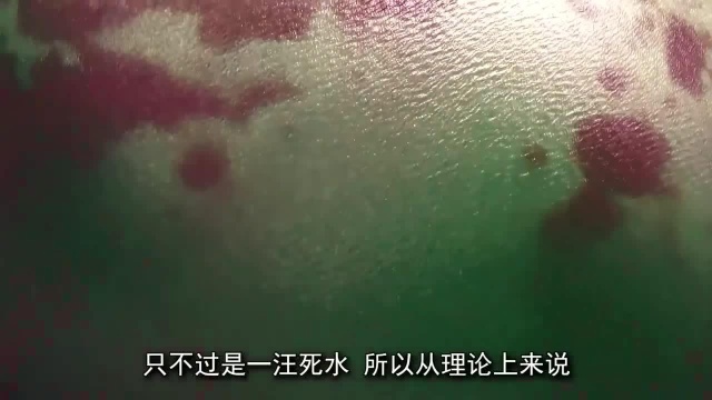 长白山水怪真实照片流出?目击者可能是恐龙后代!