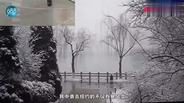 东北部暴风雪突袭,纽约瞬间被吞没,宛如世界末日