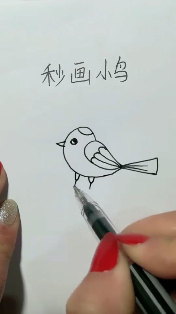 简笔画教你快速画小鸟