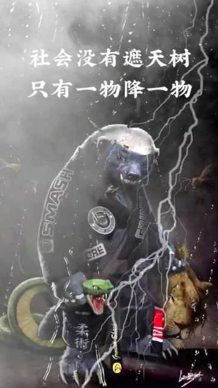 社会没有遮天树,只有一物降一物,壁纸,潮图