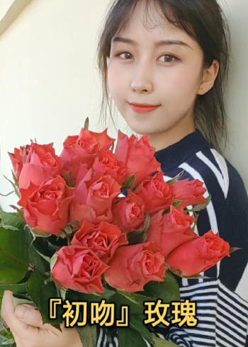 初吻玫瑰:花型和花瓣的厚度特别像霓虹泡泡,有点像咖啡时间.