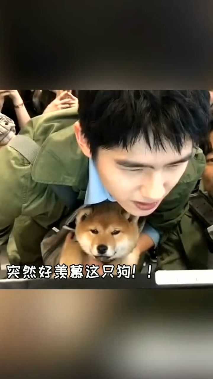 刘昊然刘昊然抱柴犬眯眼看电脑是不是像极了近视没戴眼镜的你近视眼有