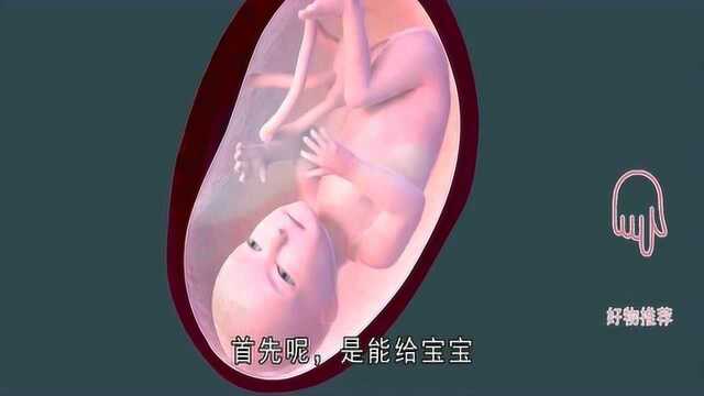 孕期同房这件事,胎宝宝心里可能怎么“看”?看起来比较好笑