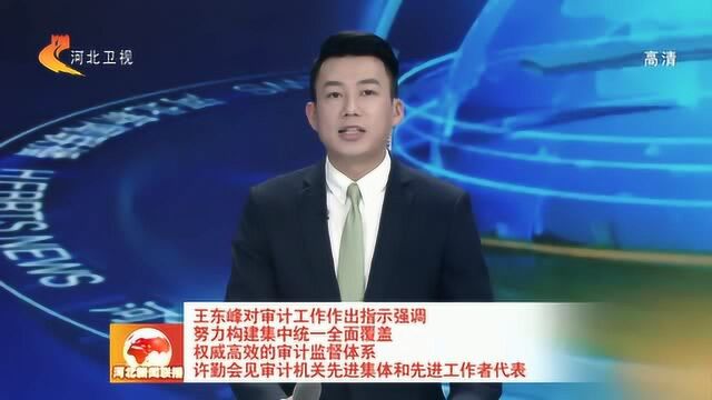 王东峰对审计工作作出指示