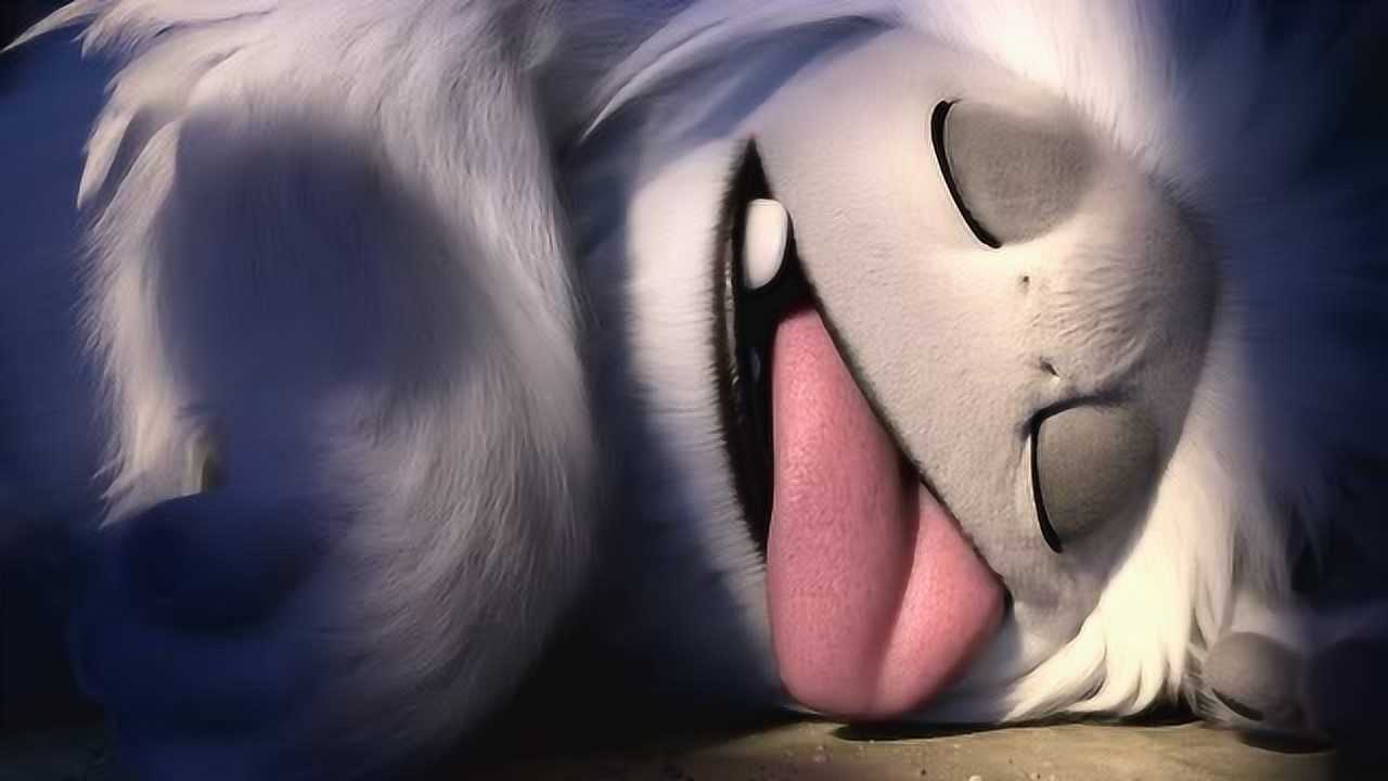 雪人奇缘:大毛吃饱就睡着了,睡得真香