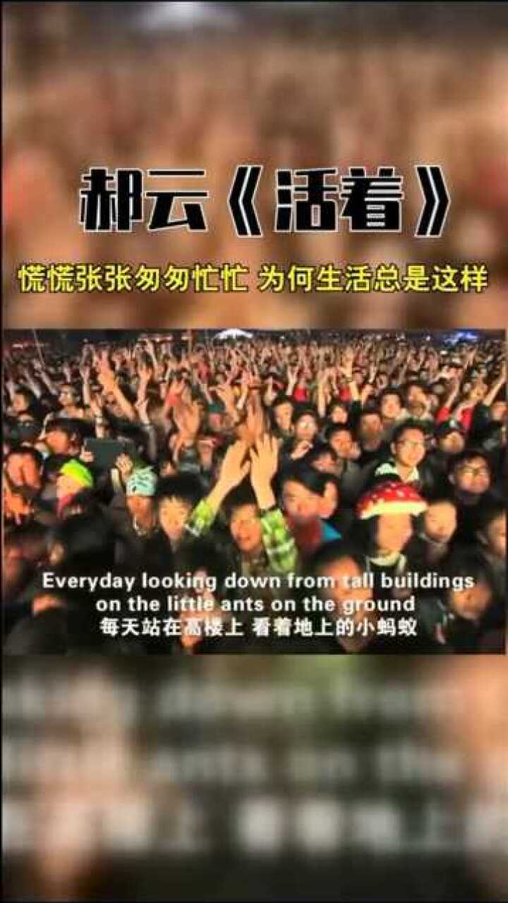 慌慌张张匆匆忙忙,为何生活总是这样?