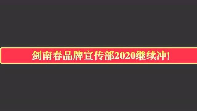 2019剑南春品牌宣传部年终总结汇报