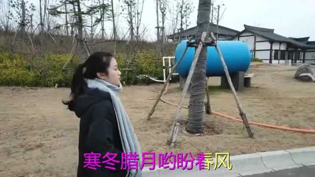 一首《映山红》好听又感动,写实的歌词