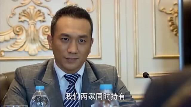 公司项目合作谈判,高总拿出完美策划书,乘机进行绝地反击