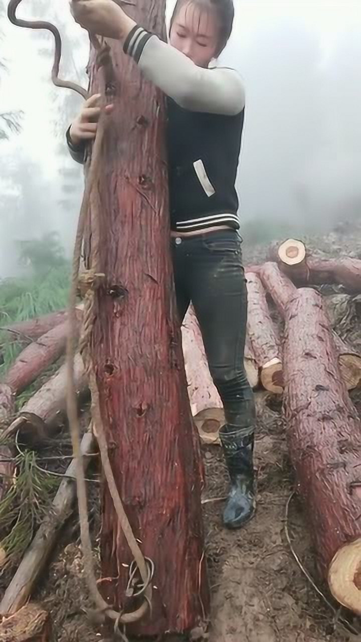 实拍大凉山,彝族姑娘背木头回家,眼前的一幕,我哭了!_腾讯视频