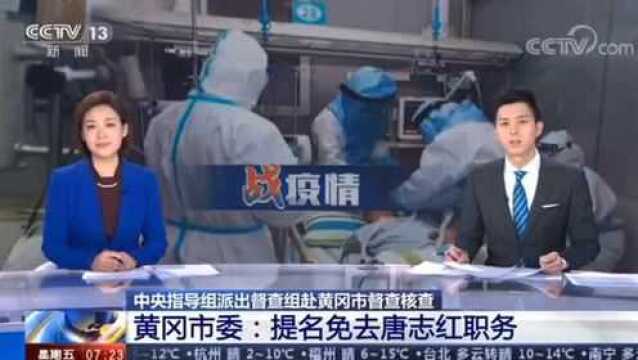 中央指导组派出督查组赴黄冈市督查核查 黄冈市委:提名免去唐志红职务