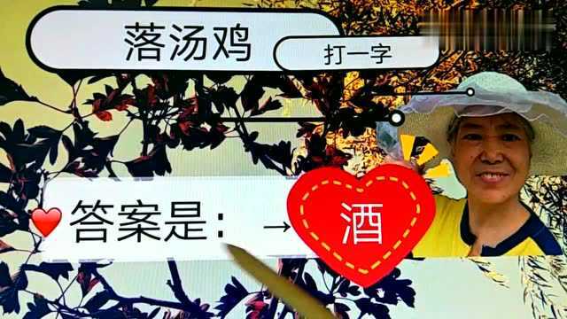 这字谜,字多,简单,是秒猜字谜