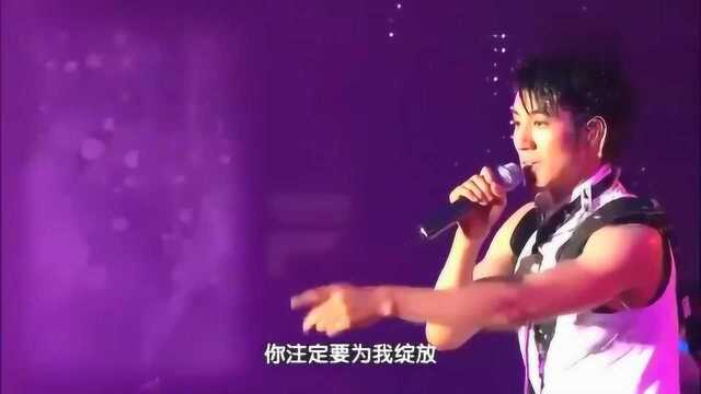 王力宏《心中的日月》演唱会现场版,纵情高歌,无法复制的经典