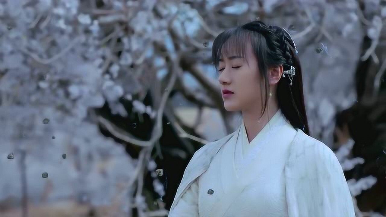 将夜2莫山山终于露脸了武功已进入了知命阶段她时刻挂念着宁缺