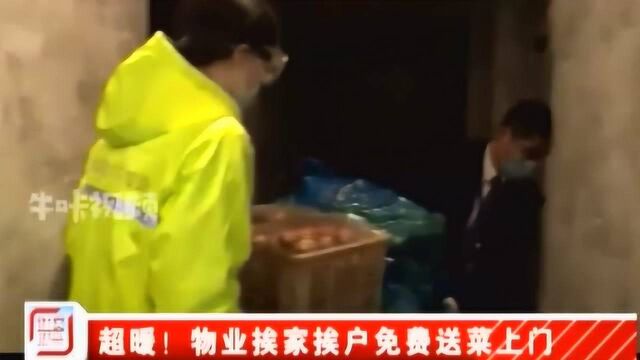 南京金茂:“硬核”物业挨家挨户免费送菜上门 ,业主平安最重要