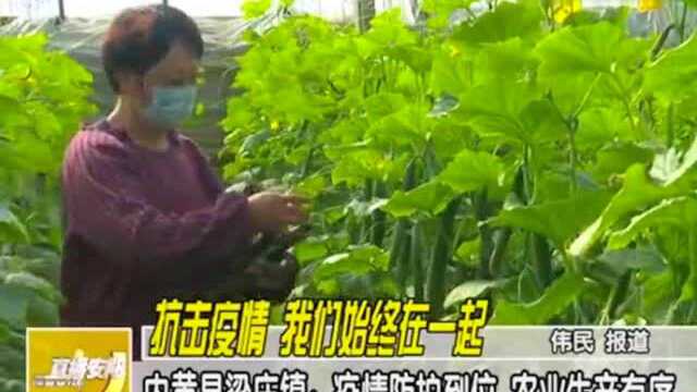 抗击疫情我们始终在一起内黄县梁庄镇疫情防护到位农业生产有序