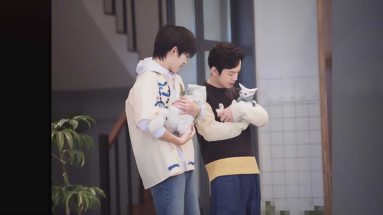 易烊千玺有多喜欢小动物看到他抱猫的姿势真的太宠溺了