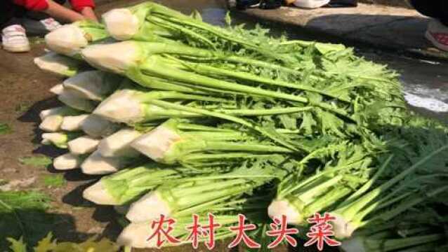 农村婆媳用大头菜这样做腌菜,比猪肉还好吃,看完赶紧收藏