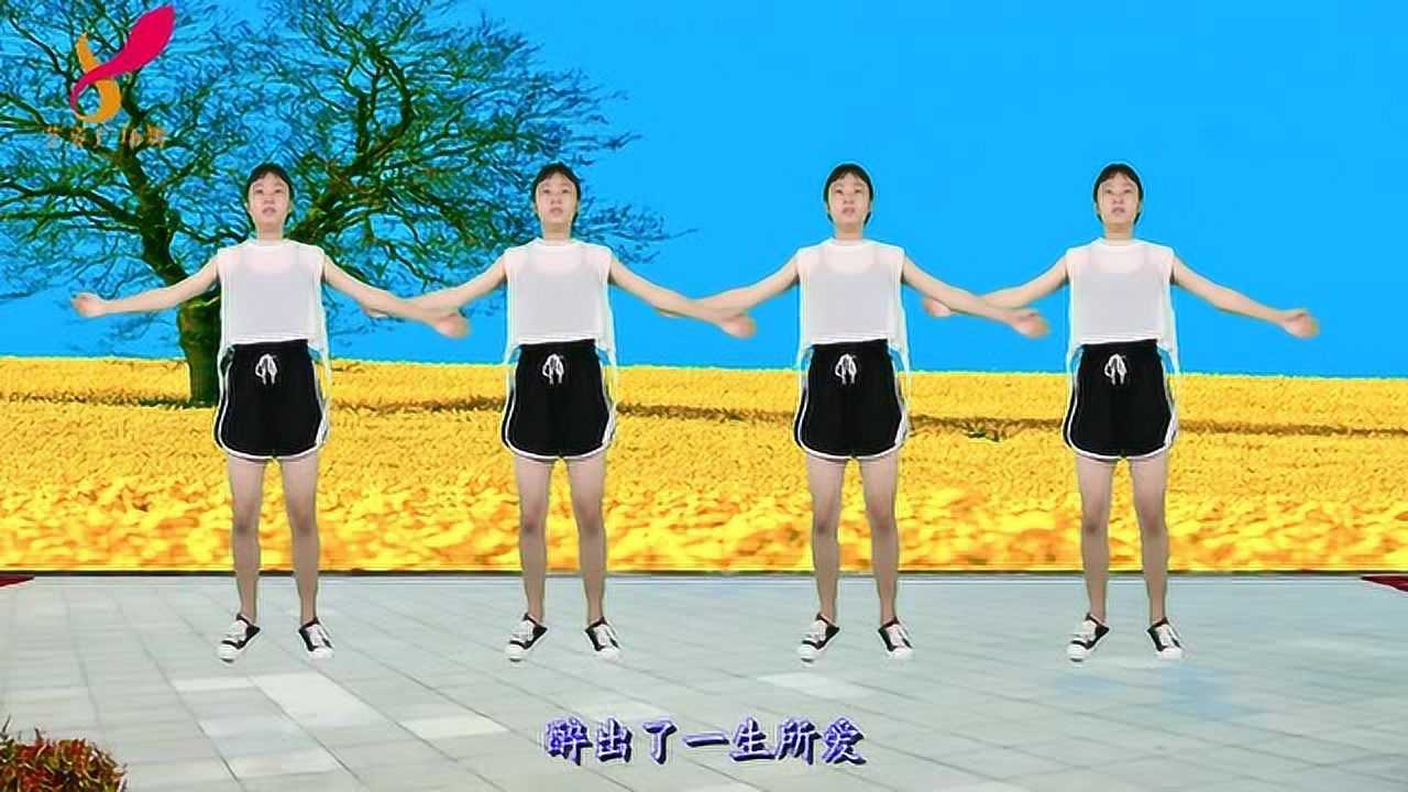 火爆dj广场舞《我从草原来》,美女性感摇臀,火辣撩人