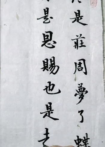 手写书法:终是庄周梦了蝶你是恩赐也是劫庄周一生梦一蝶吾用一生渡一