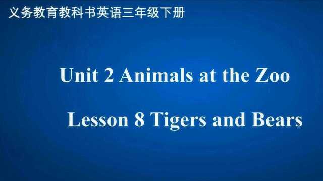 Lesson 8 Tigers and Bears 英语 三年级下册